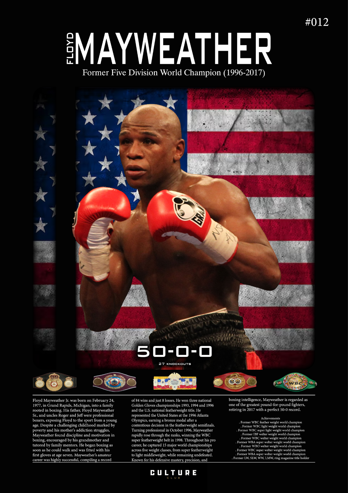 Floyd Mayweather Fight Poster